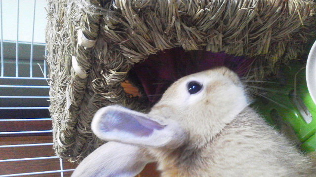 2012112515290001.jpg