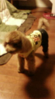 20130107184352.jpg