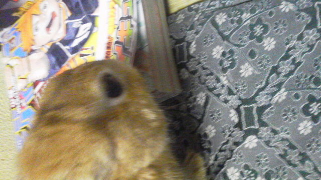 2015013117040000.jpg