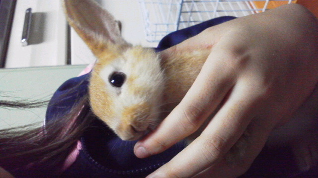 2012083118450001.jpg