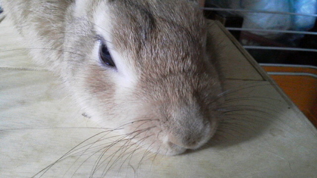 2014040815200000.jpg