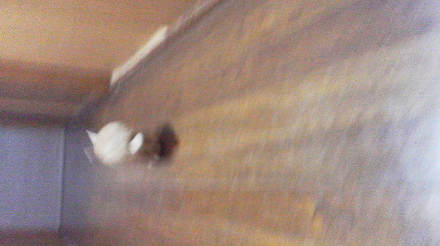 2014040618280001.jpg