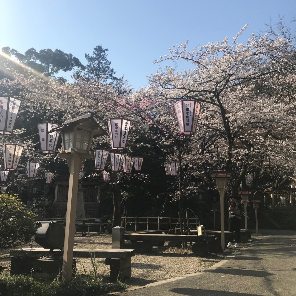 image1.jpeg