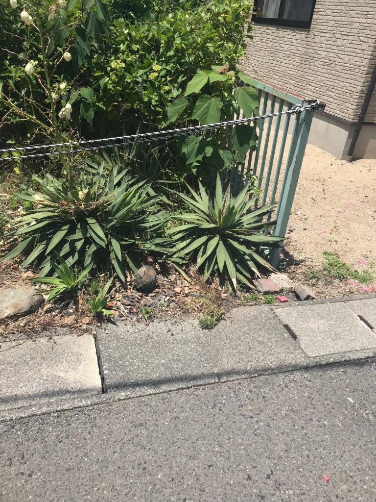 image1.jpeg