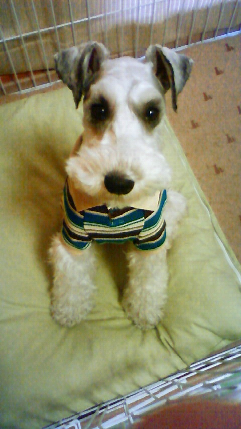 200903281604000.jpg