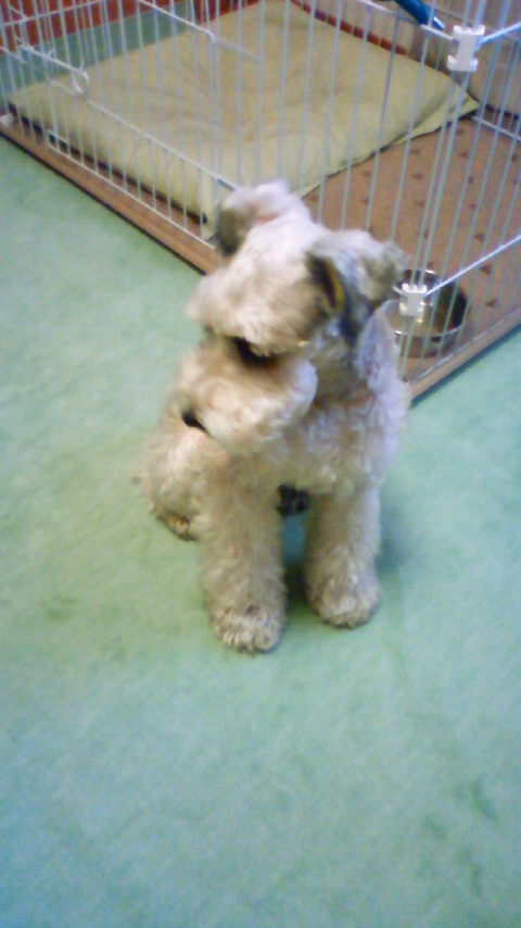 200904190847000.jpg