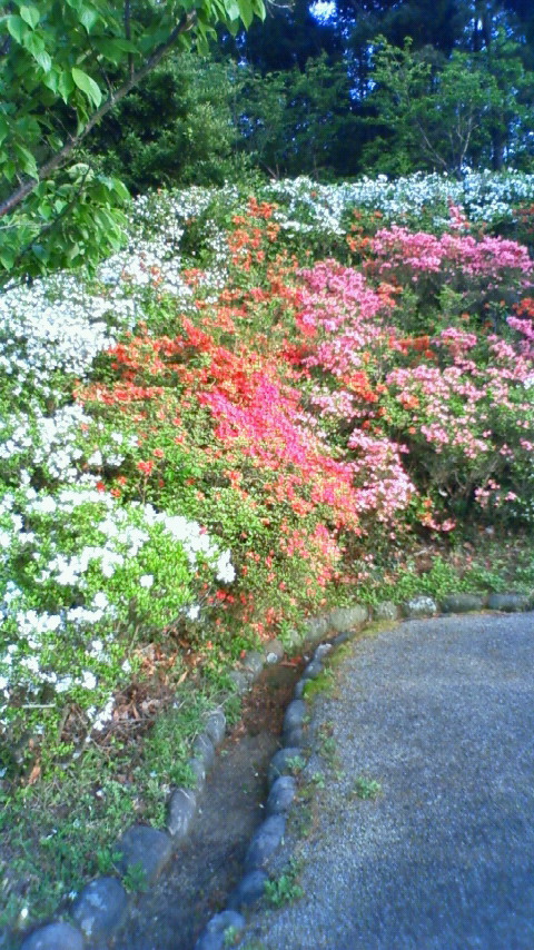 200904211731000.jpg