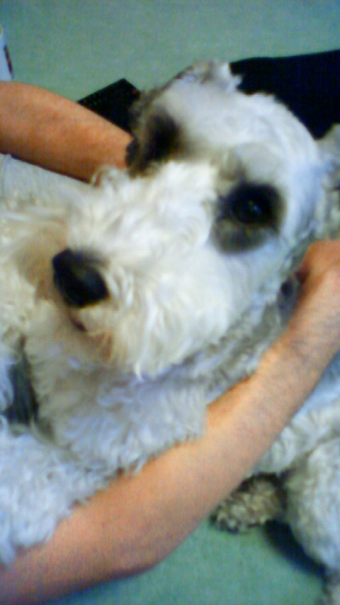 200904251103000.jpg