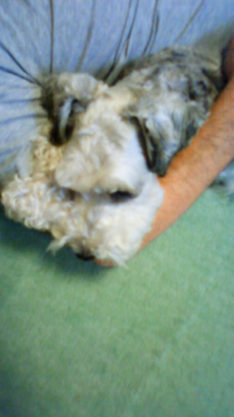200904251105000.jpg