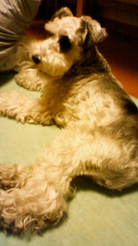 200904302003000.jpg
