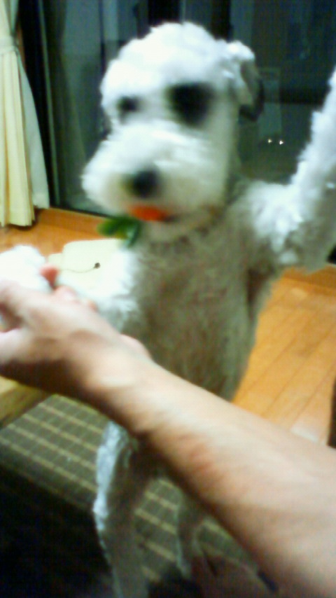 200906122030000.jpg