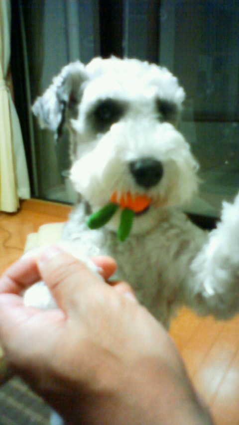200906122031000.jpg