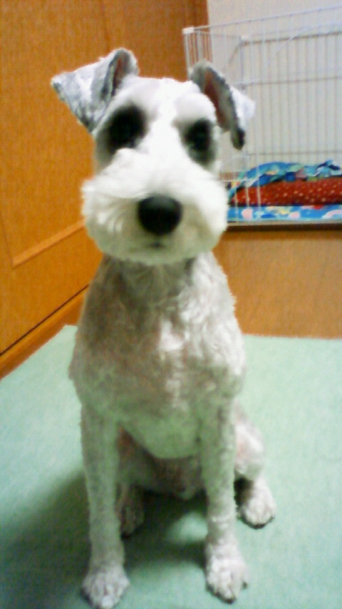 200912042045000.jpg