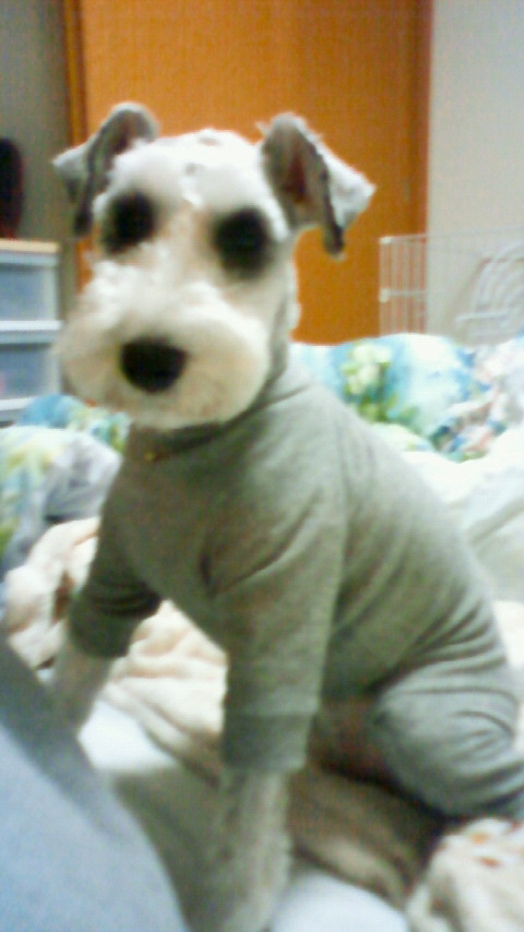 200912142109000.jpg