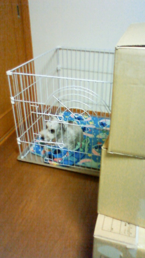 200912160720000.jpg