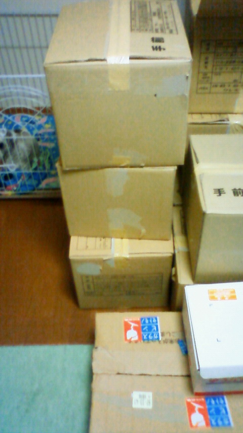 200912160720001.jpg