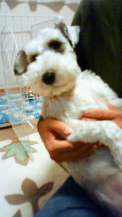 200912191818000.jpg