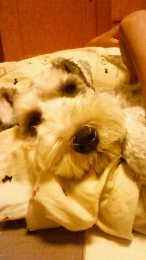 200912222143001.jpg