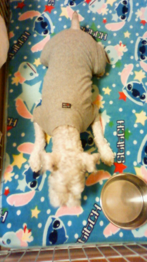 200912242203000.jpg