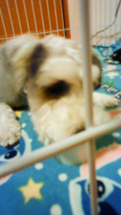 200912242204000.jpg