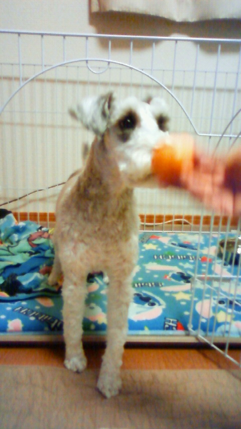 201001021946000.jpg