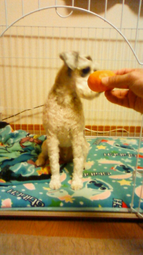 201001021946001.jpg