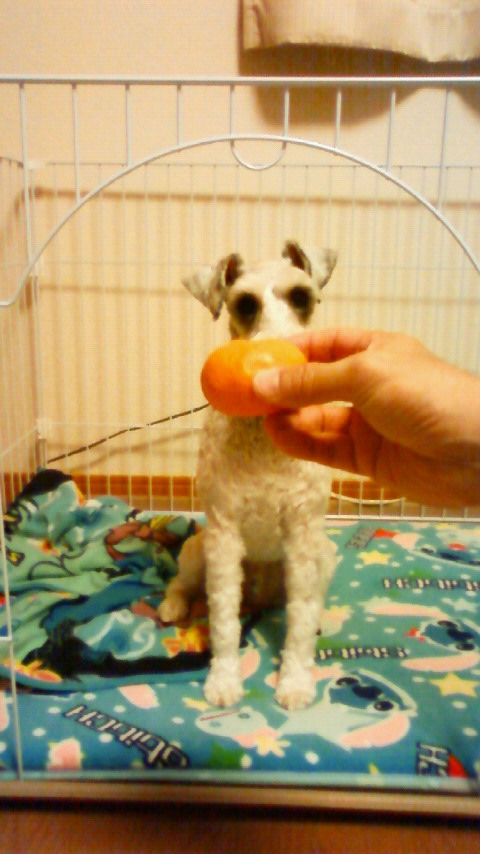 201001021946002.jpg