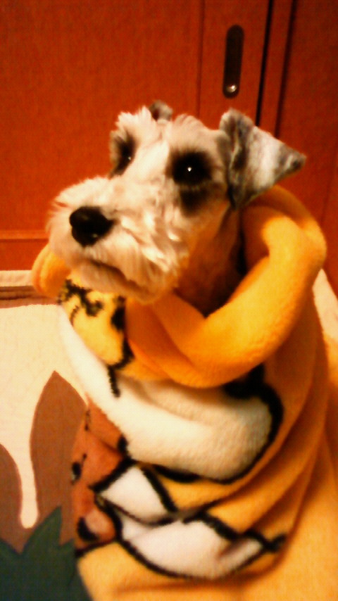 201001031735000.jpg