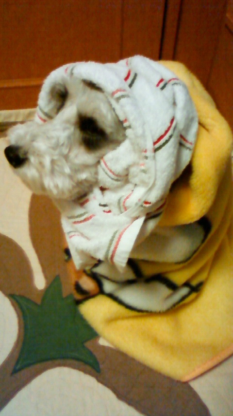 201001031735001.jpg