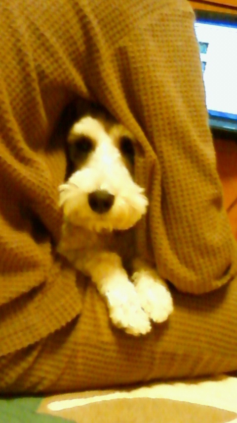 201001042051000.jpg