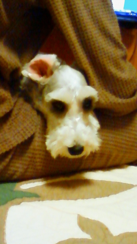 201001042052000.jpg