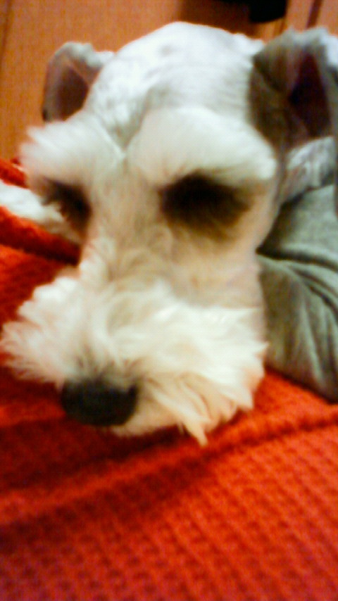 201001042126001.jpg