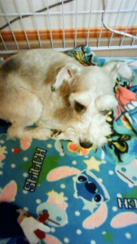 201001070729000.jpg