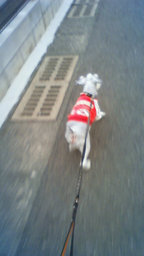 201001071610000.jpg