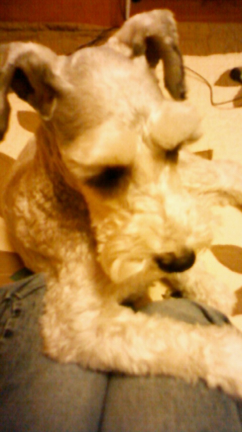201001072058000.jpg