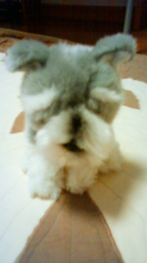 201001090734000.jpg