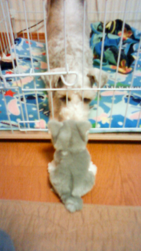 201001090732000.jpg