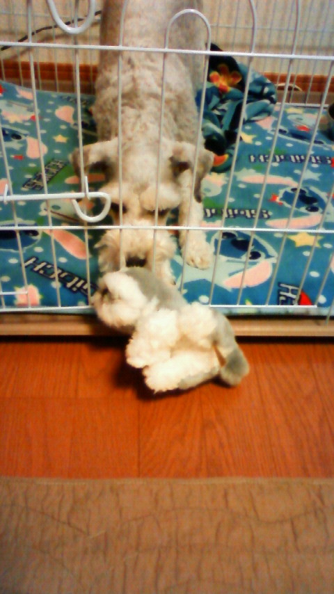 201001090733000.jpg