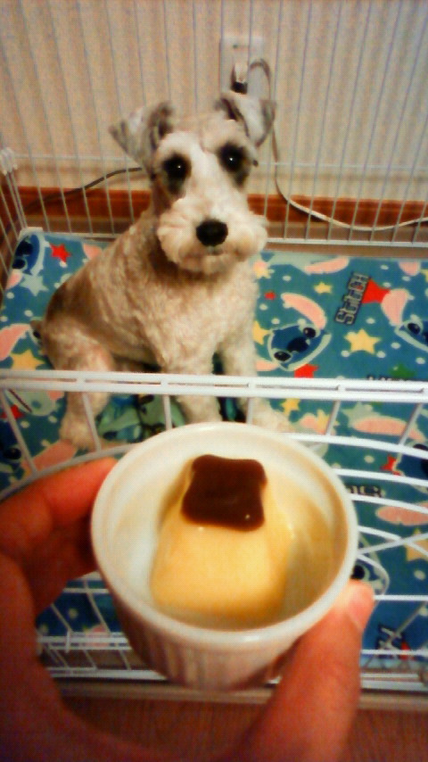 201001092223000.jpg