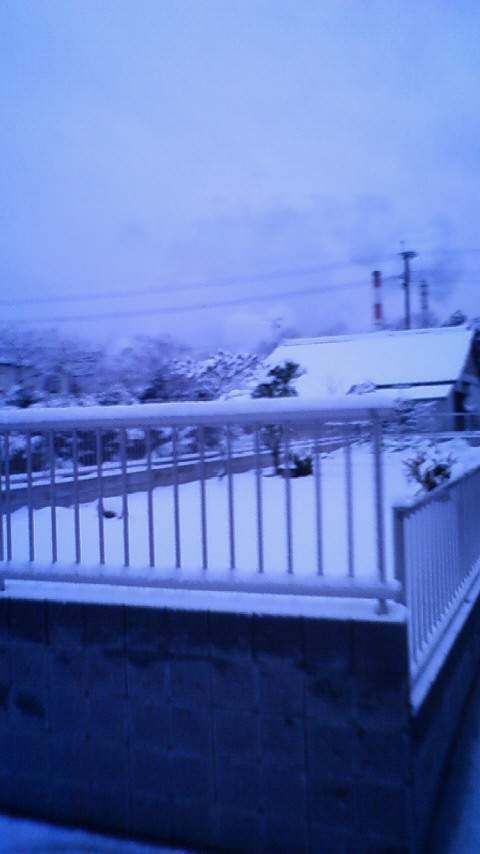 201001130726000.jpg