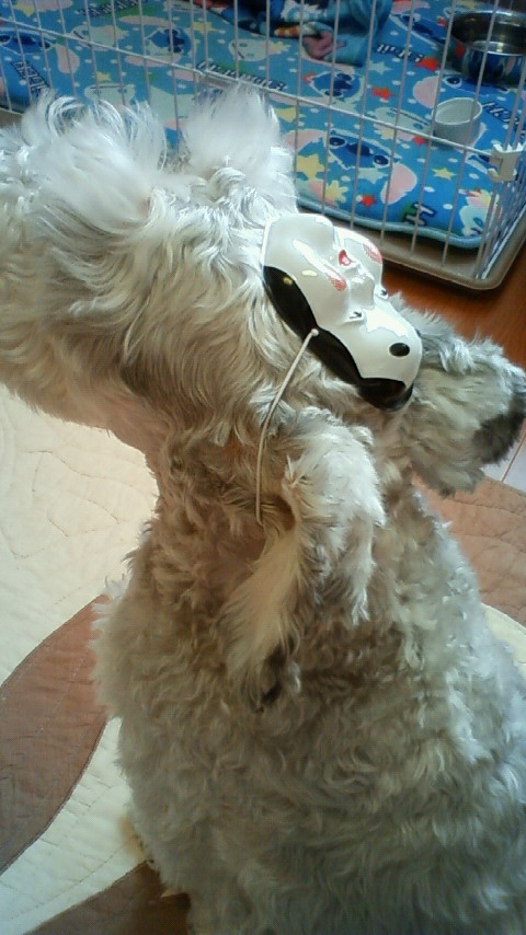 201002030931000.jpg