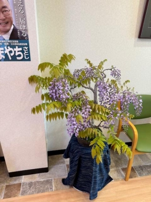 image1.jpeg