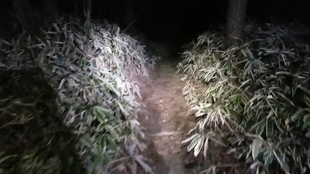 Screenshot_20181203-090033_VideoPlayer.jpg