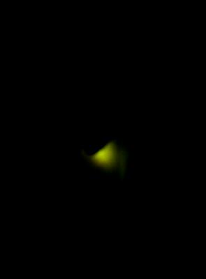 rps20130617_220545.jpg