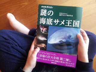 rps20140211_105952.jpg