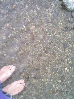 20060707_146254.JPG