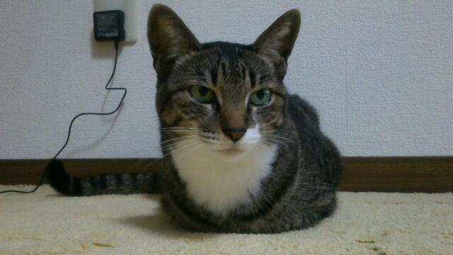 rps20120921_121949_671.jpg