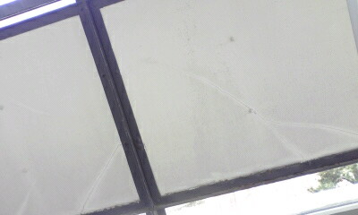110408_1527~01001.jpg