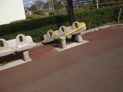 ベンチ