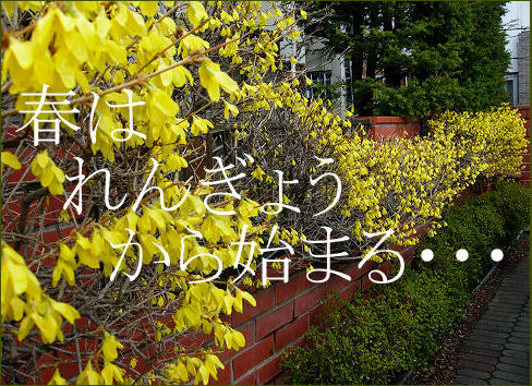 ¥ì¥ó¥®¥ç¥¦